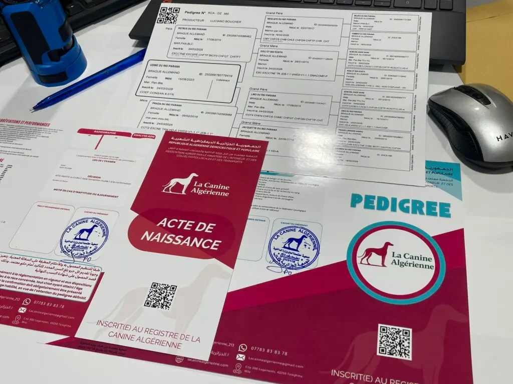 Information aux proprietaires de chien
